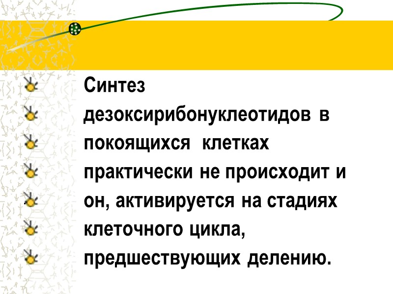 Синтез          дезоксирибонуклеотидов в  